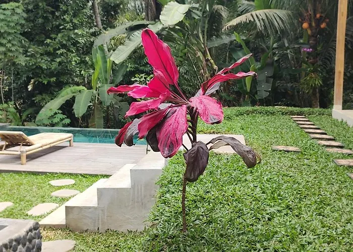 Rumah Guci ロッジ