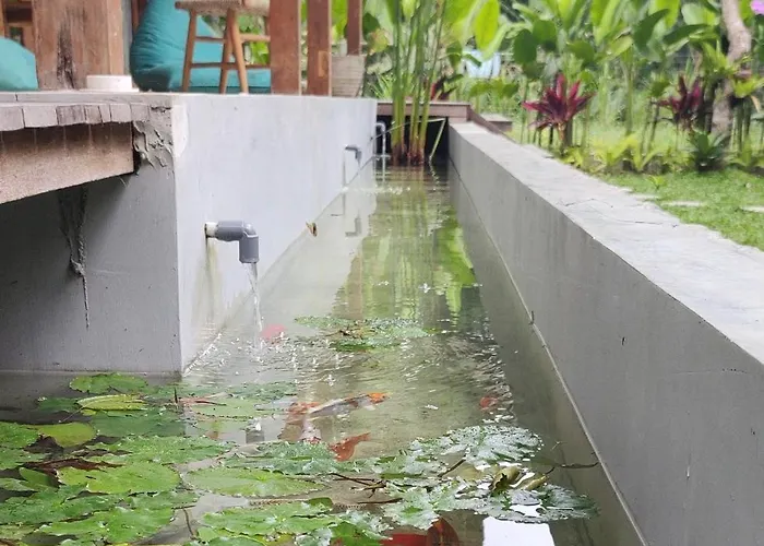 Rumah Guci ロッジ